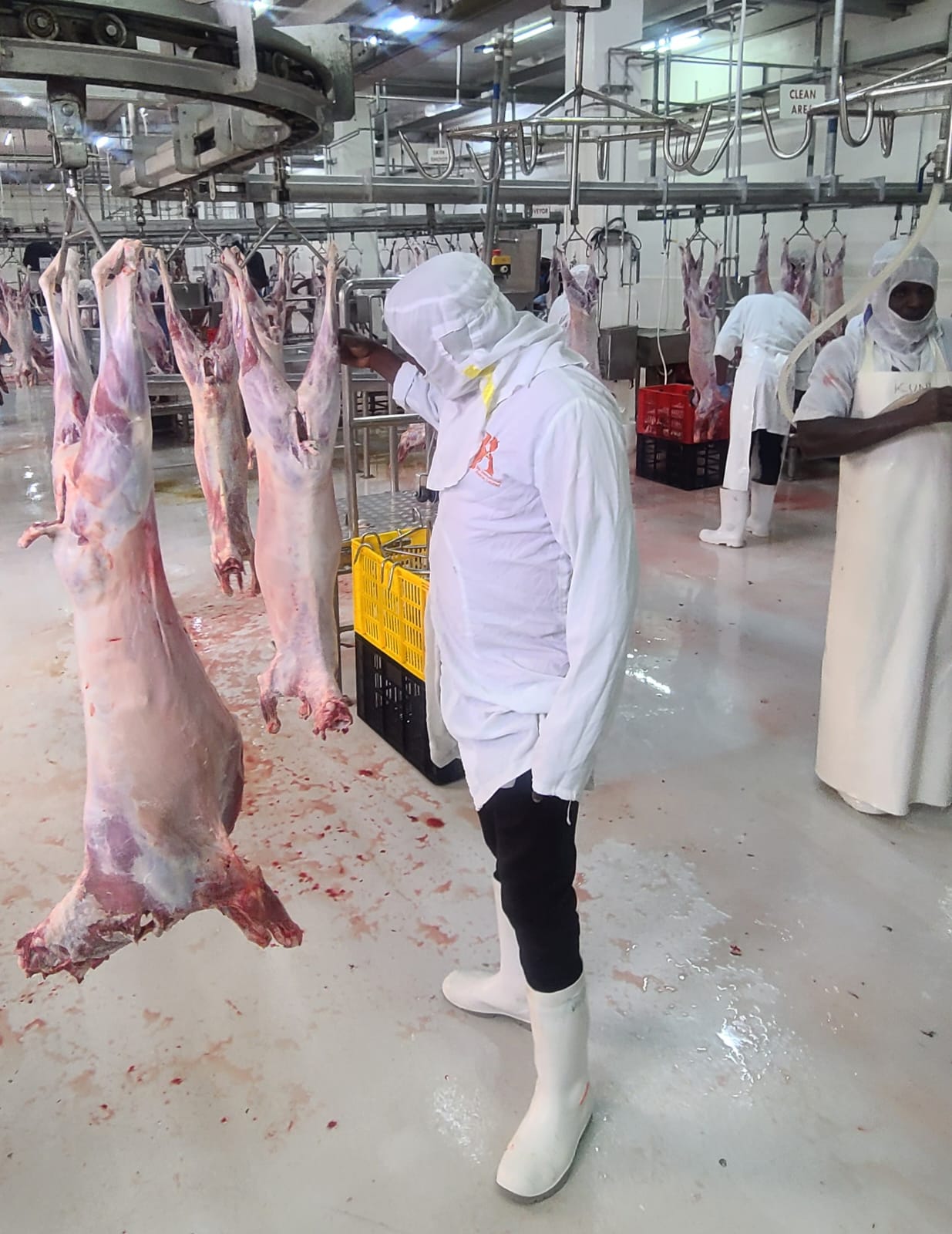 asai-baringo-food-store-goat-meat-005