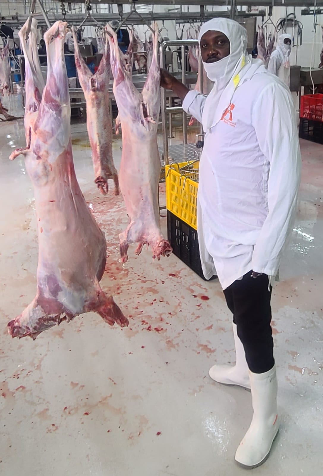 Asai Baringo Food - Goat Meat