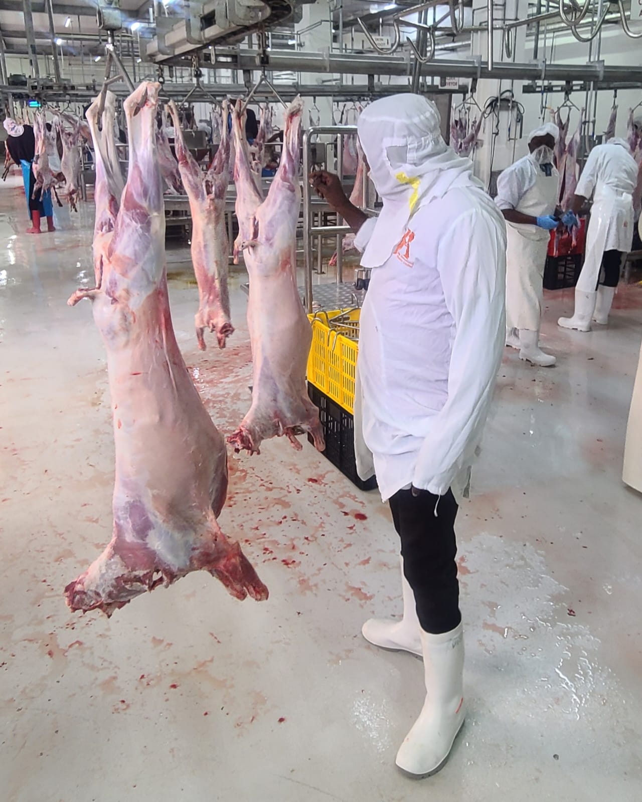 asai-baringo-food-store-goat-meat-goat-006