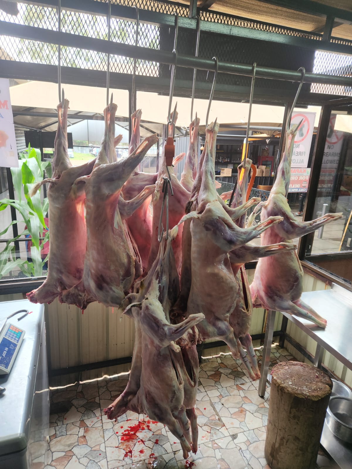 asai-baringo-food-store-goat-meat-goat